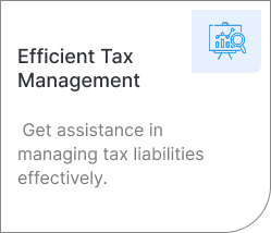 Efficient-Tax